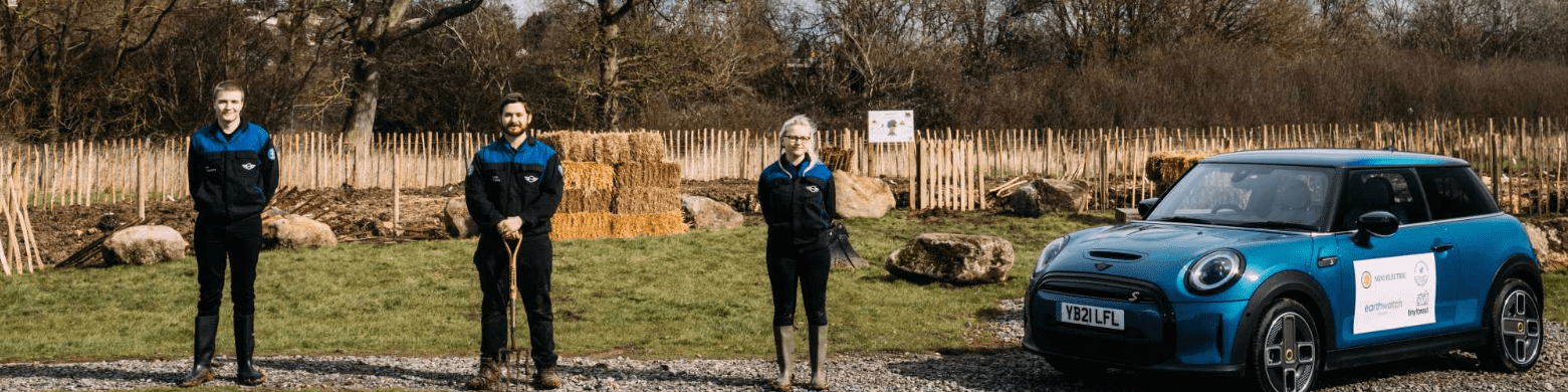 MINI volunteers planting sustainable Tiny Forests